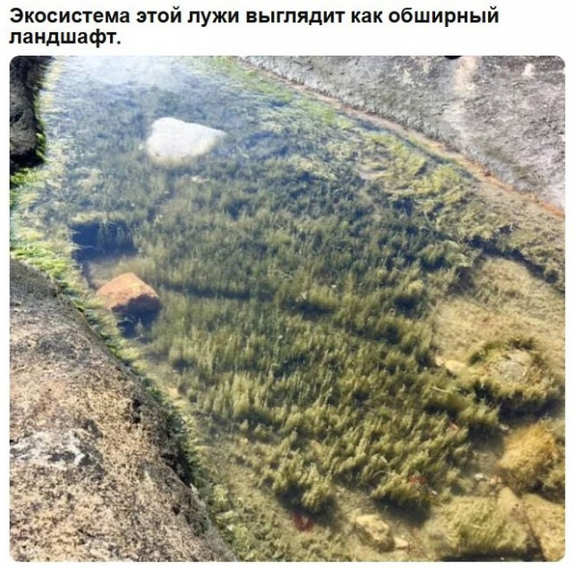 Мемы 30 штук к понедельнику