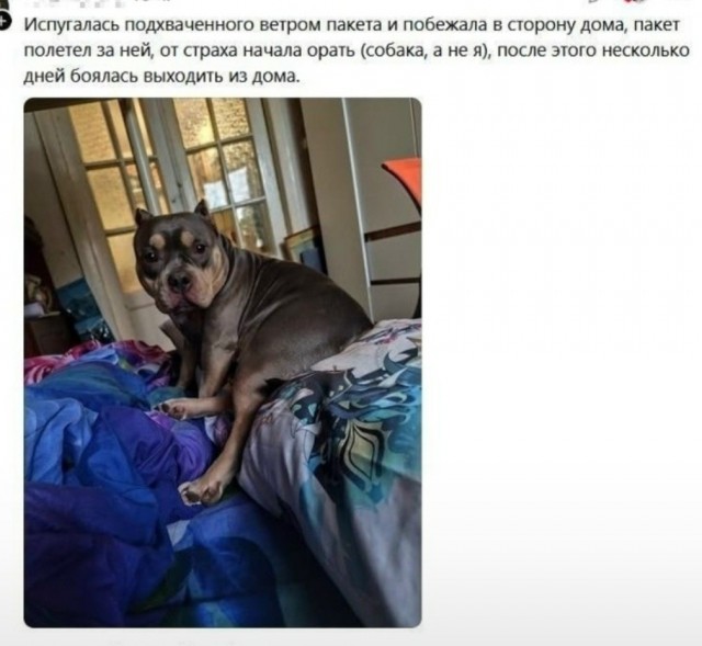 Веселые картинки в понедельник (24.08)