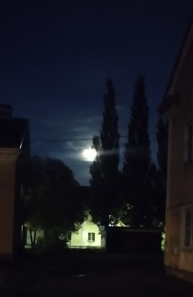 Одной фотки псто