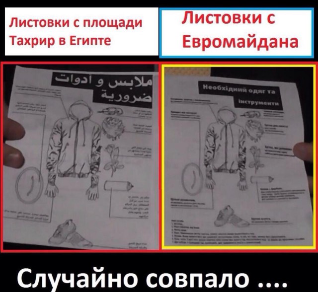 Фото дня