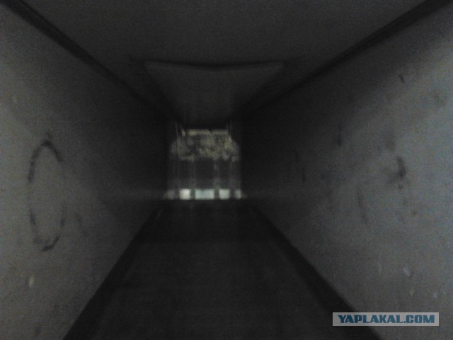 Где яблоки растут!