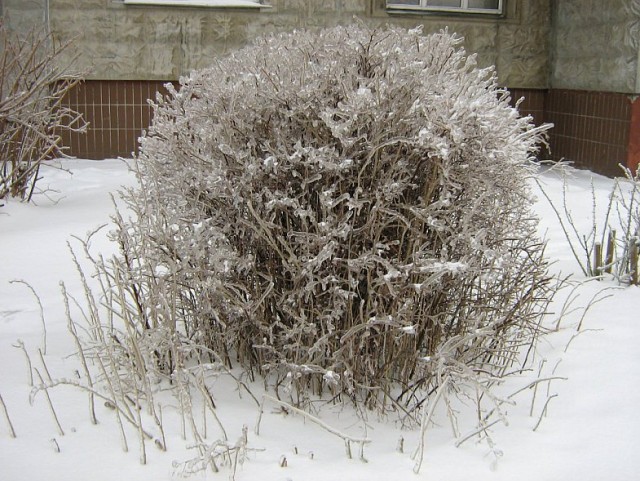 Лед на улицах Москвы