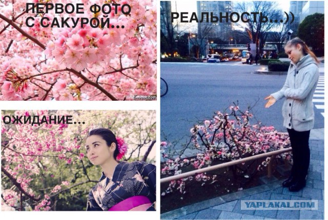 Ожидания VS Реальность