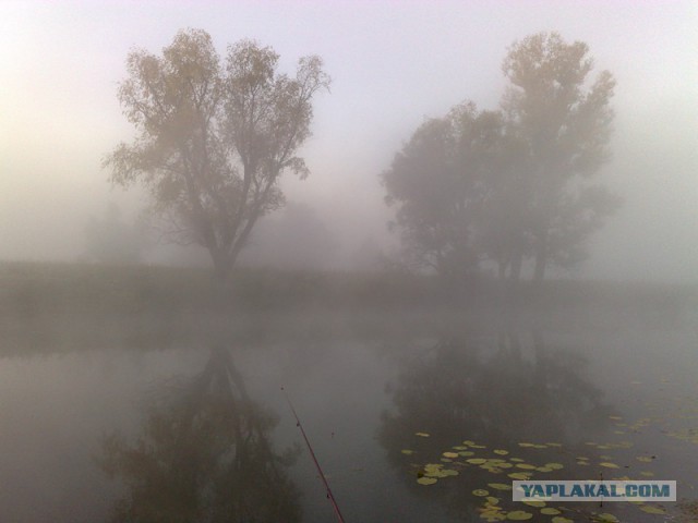 Скоро на всех водоёмах страны