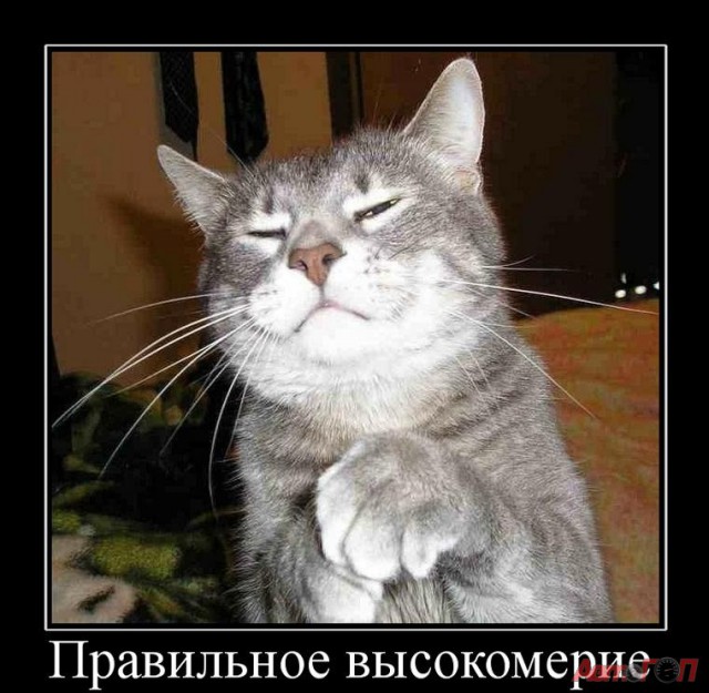 Смешные комменты из соцсетей