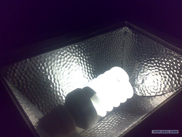 Экономный яркий свет