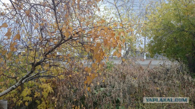 А что у Вас сейчас?