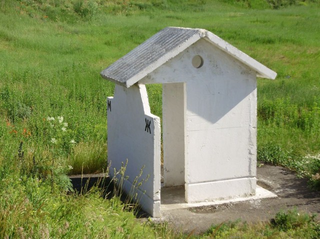 Свежие картинки из сети
