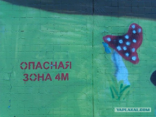 Весёлое из сети
