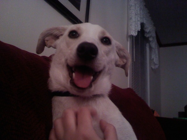 Любите себя.