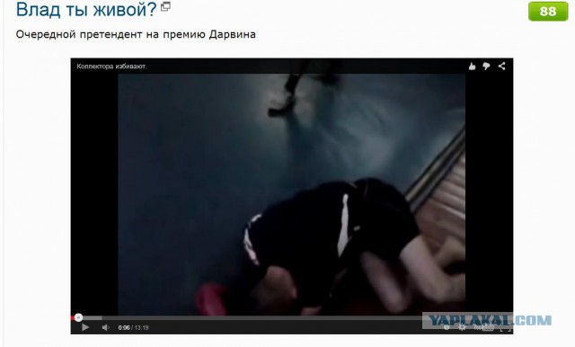 Влад ты живой?