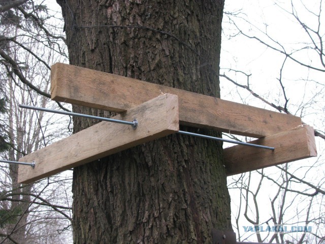 Домик на дереве