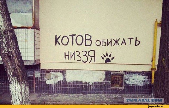 Это всё чёртов Т9!