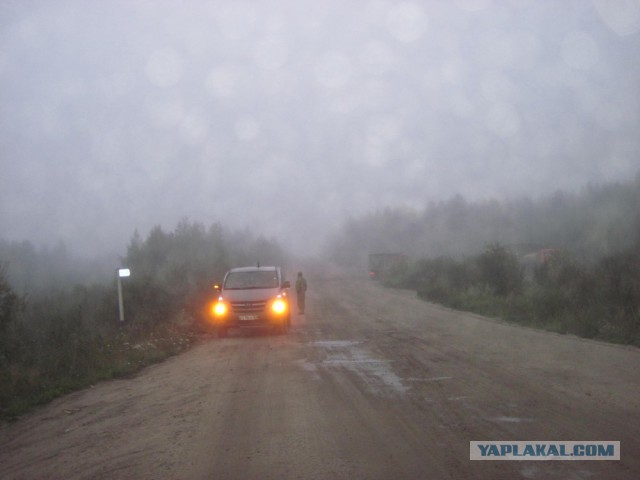 Сибирь 2015