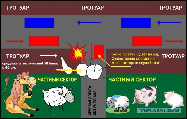 Кто прав? Кто не прав?