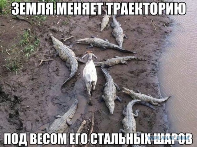 Картинки набрались разные