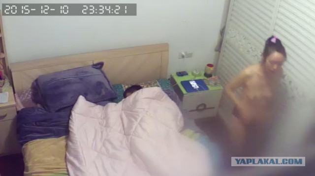 За что я люблю китайцев