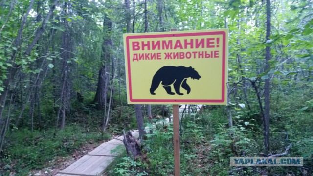 Национальный парк "Ленские столбы"