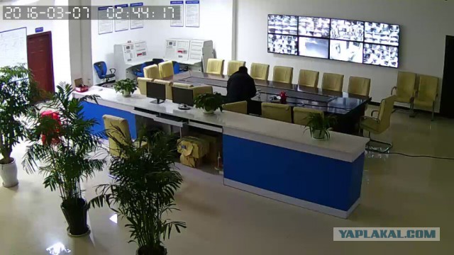 За что я люблю китайцев