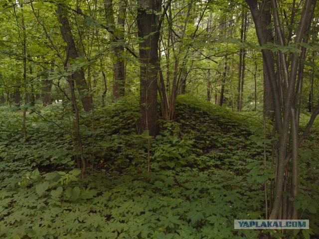 Капище в царицыно