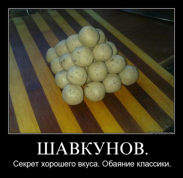 «Это война!» В Тюмени началась битва догхантеров с зоозащитниками. Есть первые жертвы
