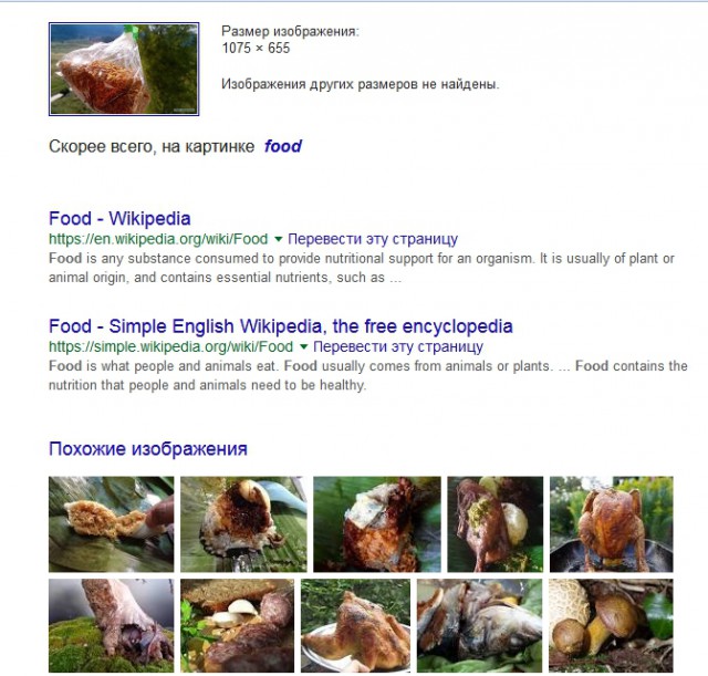 солнечная Индия в пасмурной Сибири
