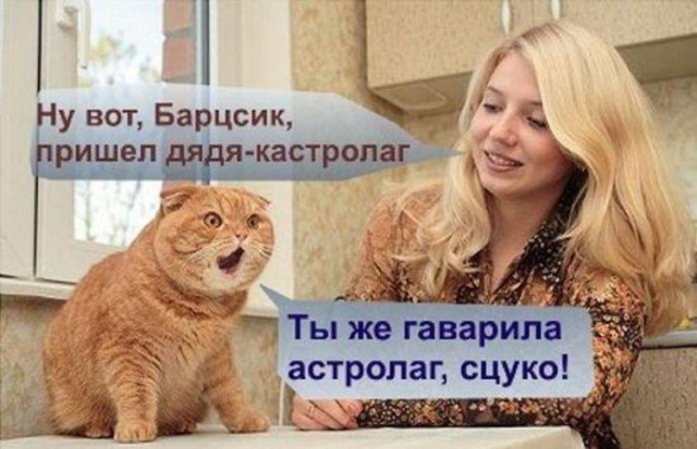 Забавные фото с надписями