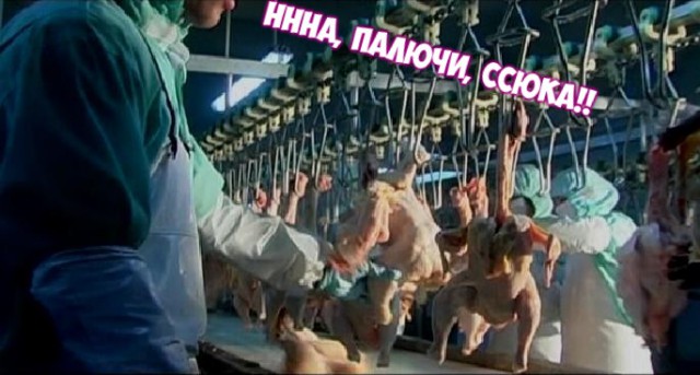 Ничего не предвещало беды