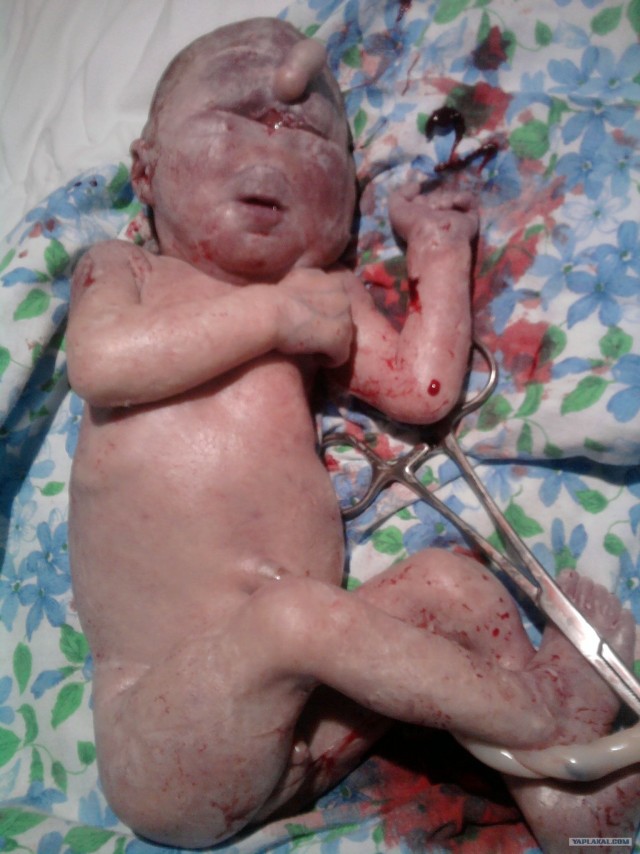 Плохая/хорошая жена