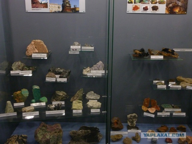 Лично мне не нужен берег турецкий