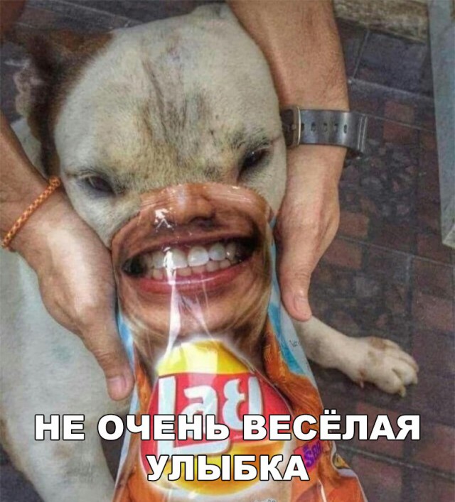 Прикольные картинки обо всём