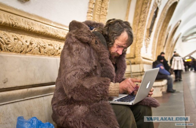 ТЕНДЕР  АЙФОН