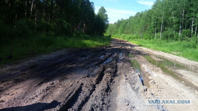 Командировка. В леса