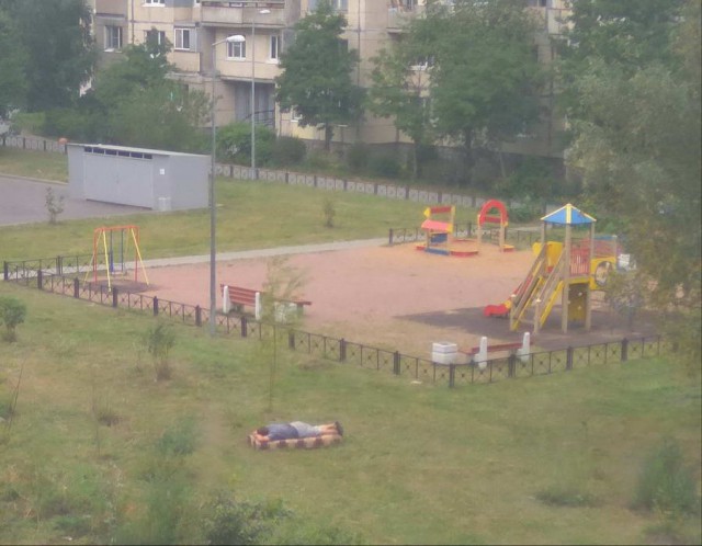 Скотсети и прочие интернеты 09.08.2018