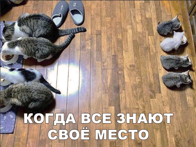 Нестандартный юмор