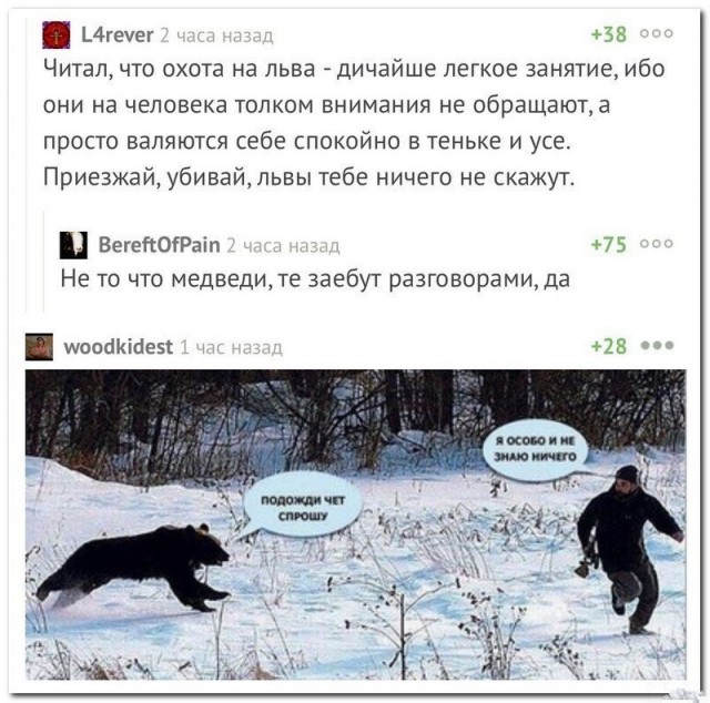 Прикольные комментарии и высказывания из Сети