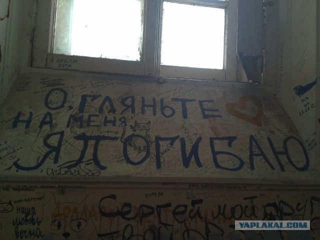 Асфальт, стены, заборы... Так пить или жить?