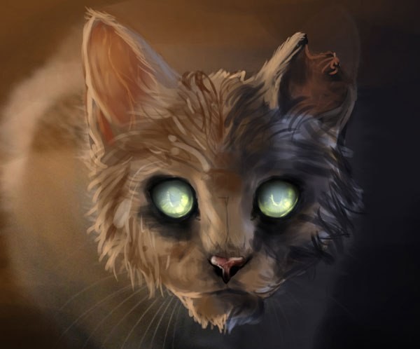 Кот-некромант, полная версия