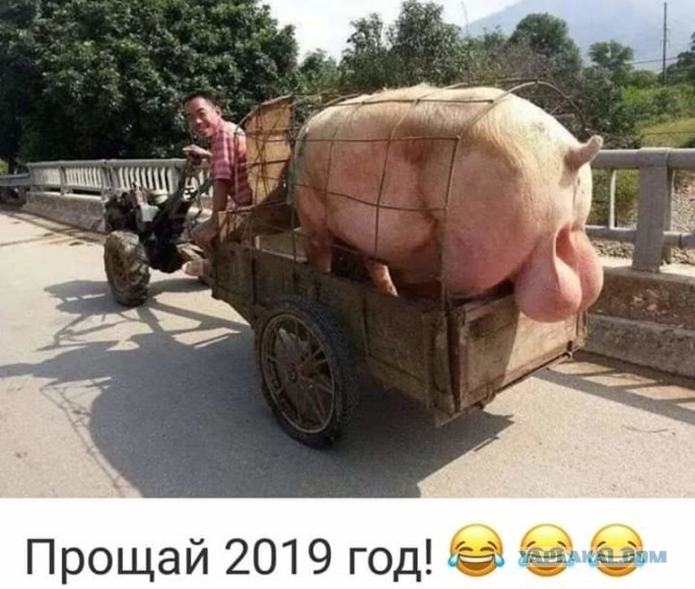 Бредзона 26.12.2019