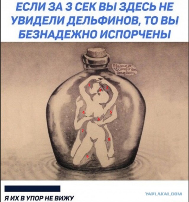 Бредзона 25.01.20