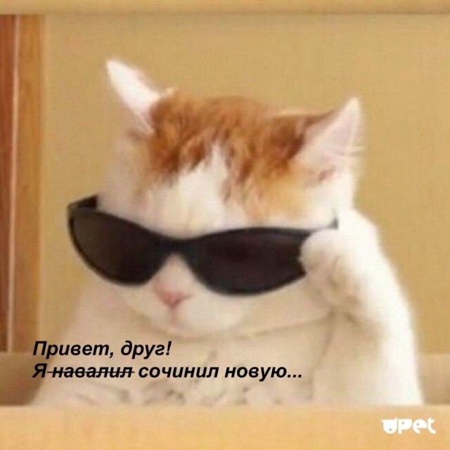 Коротко о ЯПлакал в картинках