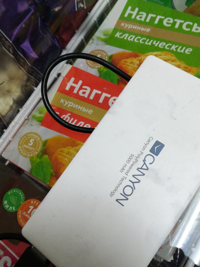 Кто приютит?