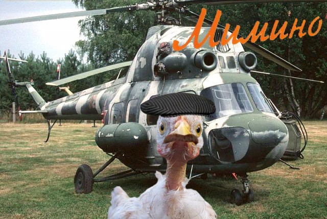 Фотожаба: Цыпа