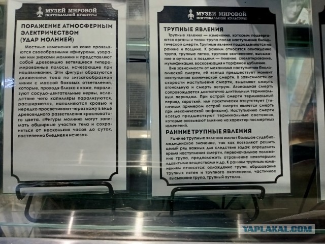 Что происходит с телом после смерти
