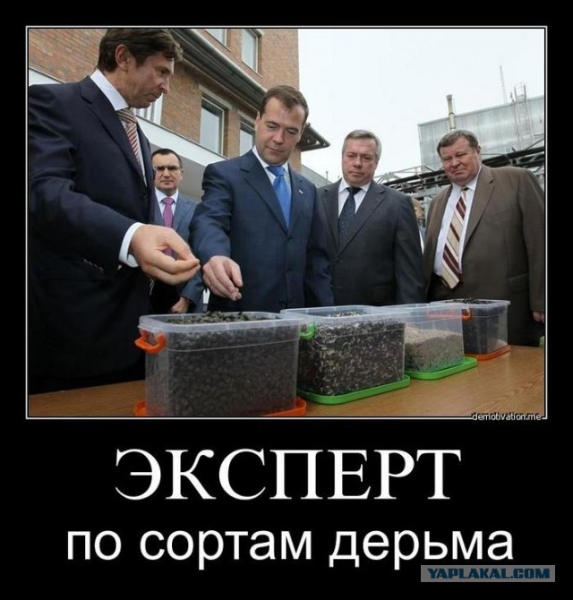 В Совфеде разработают законопроект о навозе