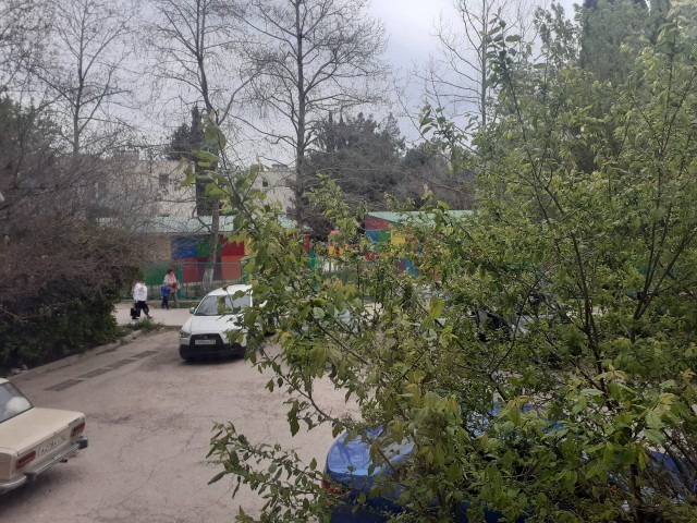 Все деревья а серебре, пляшут зайцы на горе, на реке сверкает лёд, наступает...