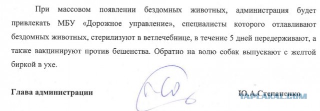 В Башкирии школьники залезли на дерево, спасаясь от стаи бездомных собак