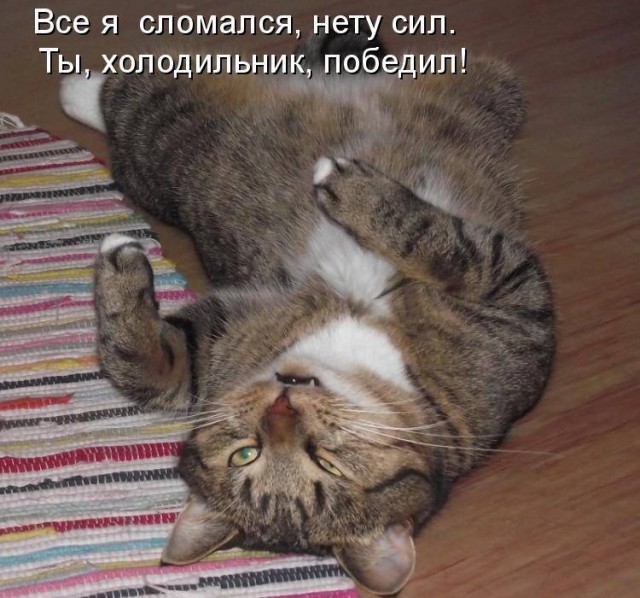 Картинки о животных, прямо и косвенно