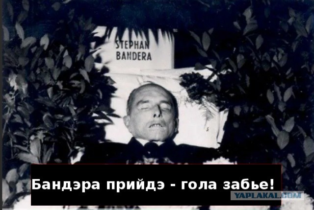 Во львовской фан-зоне будут бесплатно наливать пиво за каждый гол Бельгии в ворота России