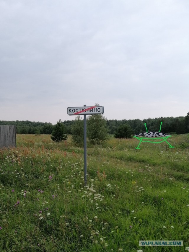 Живу в деревне